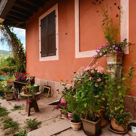 Cadichon * Munster (Haut-Rhin)