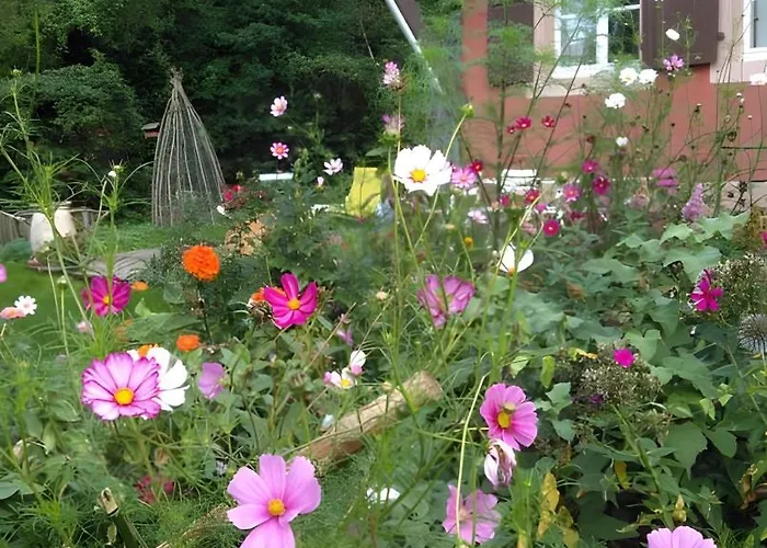 Cadichon Appartement